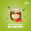 FB_ORZEL_ostre.png